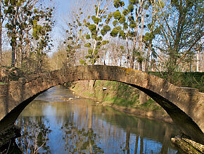 Agrandir l'image (fenêtre modale)