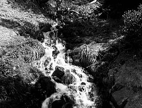 Agrandir l'image (fenêtre modale)