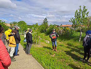 Agrandir l'image (fenêtre modale)