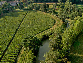 Agrandir l'image (fenêtre modale)