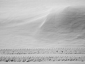 Agrandir l'image (fenêtre modale)