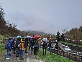 Agrandir l'image (fenêtre modale)