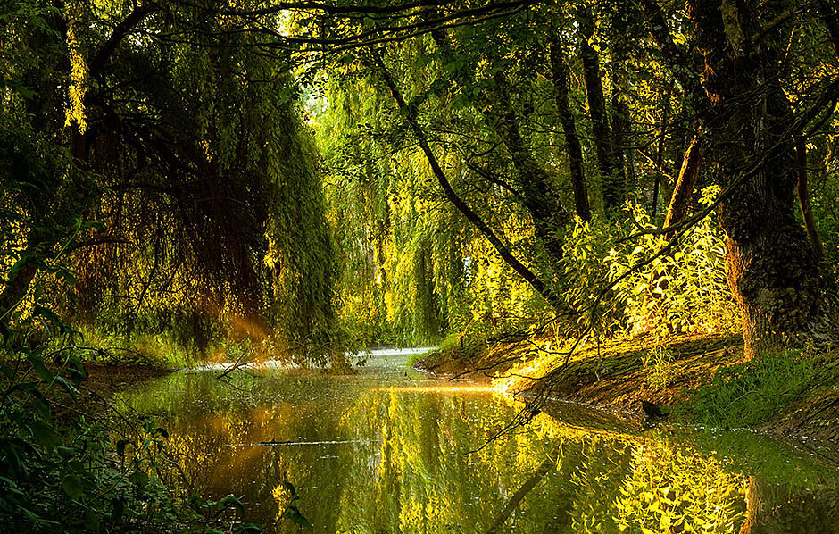 Bord de Save – Concours photo 2021 © CLE NRG - Agrandir l'image (fenêtre modale)