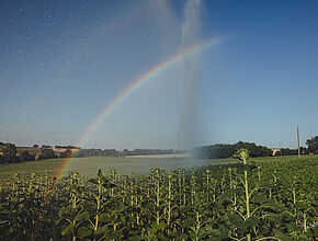 Agrandir l'image (fenêtre modale)