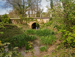 Agrandir l'image (fenêtre modale)