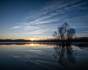 Agrandir l'image (fenêtre modale)