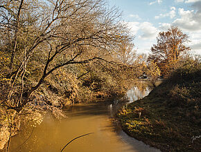 Agrandir l'image (fenêtre modale)