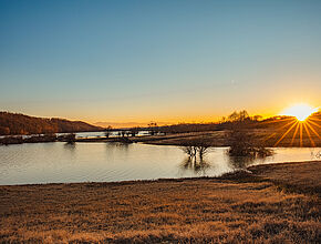 Agrandir l'image (fenêtre modale)