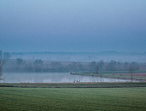 Agrandir l'image (fenêtre modale)
