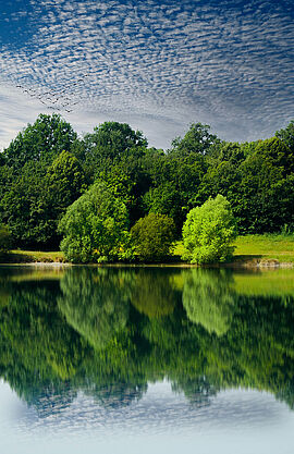 Lac de Saint-Clar – Concours photo 2022 – CLE NRG - Agrandir l'image (fenêtre modale)