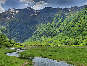 Zone humide au Pla d’Arsoué - Agrandir l'image (fenêtre modale)