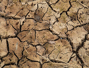 Agrandir l'image (fenêtre modale)