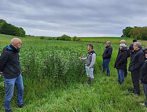 Agrandir l'image (fenêtre modale)