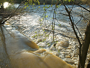 Agrandir l'image (fenêtre modale)