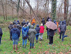 Agrandir l'image (fenêtre modale)