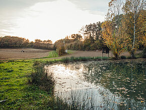 Agrandir l'image (fenêtre modale)