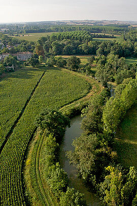 Ripisylve le long du Gers à Lectoure © Isabelle Souriment  - Agrandir l'image (fenêtre modale)