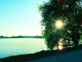 Agrandir l'image (fenêtre modale)