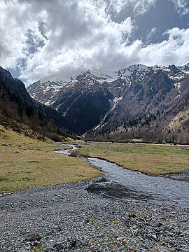Tourbière à Azet (65) © CLE NRG - Agrandir l'image (fenêtre modale)