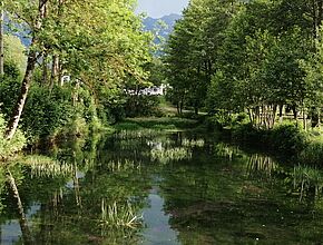 Agrandir l'image (fenêtre modale)