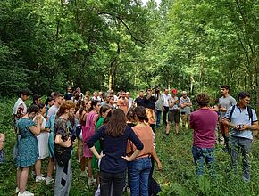 Restauration de l'Auvignon : diversifier les écoulements en ajoutant des banquettes sédimentaires - Agrandir l'image (fenêtre modale)