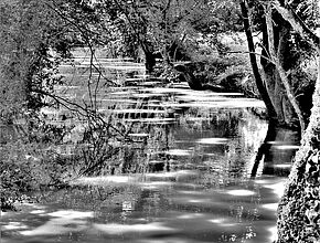 Agrandir l'image (fenêtre modale)