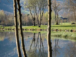 Agrandir l'image (fenêtre modale)