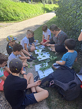 Sortie terrain au bord du Gers par le CPIE Pays Gersois – 12 décembre 2023 - Agrandir l'image (fenêtre modale)