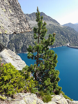 Barrage de Cap de long à Aragnouet – Concours photo 2022 © CLE NRG - Agrandir l'image (fenêtre modale)